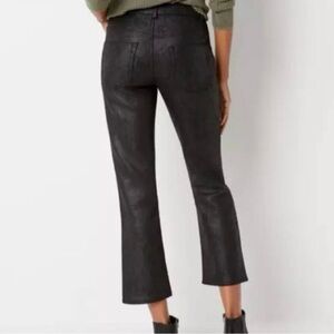 Frye & Company Faux Black Suede Ankle Bootcut Pants